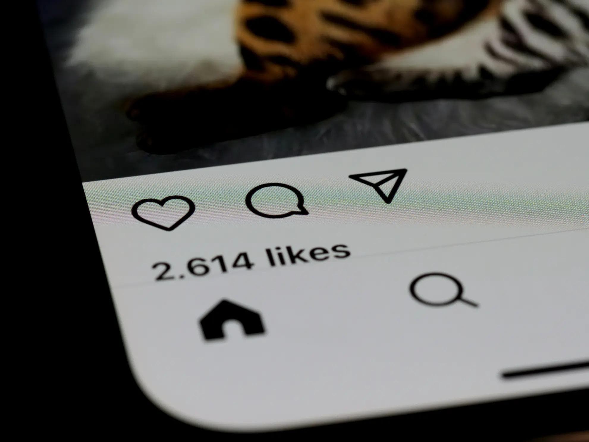 5 Signs Your Business Has Outgrown Social Media